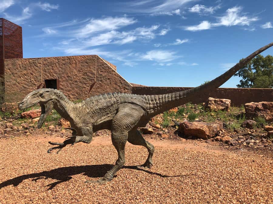 Winton: Age of Dinosaurs Museum Half Day Guided Transfer - The museum visit: a 3.25-hour run through four sections