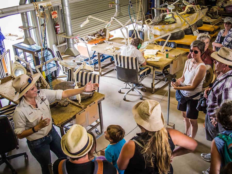 Winton: Age of Dinosaurs Museum Half Day Guided Transfer - Pickup and ride with Red Dirt Tours: easy start, easy end