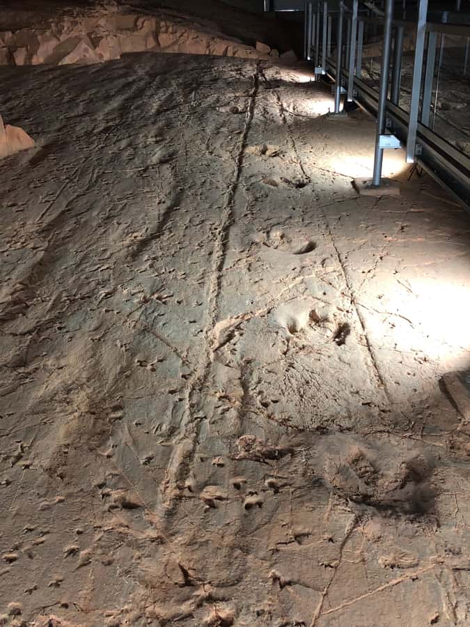 Winton: Dinosaur Stampede 3/4 Day Tour - Mesa Country Drives: Getting Your Bearings Before the Footprints