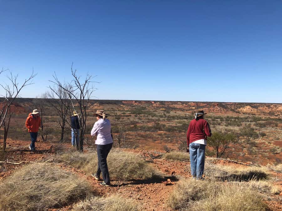 Winton: Dinosaur Stampede 3/4 Day Tour - Price and Value: Is $134 Worth It?