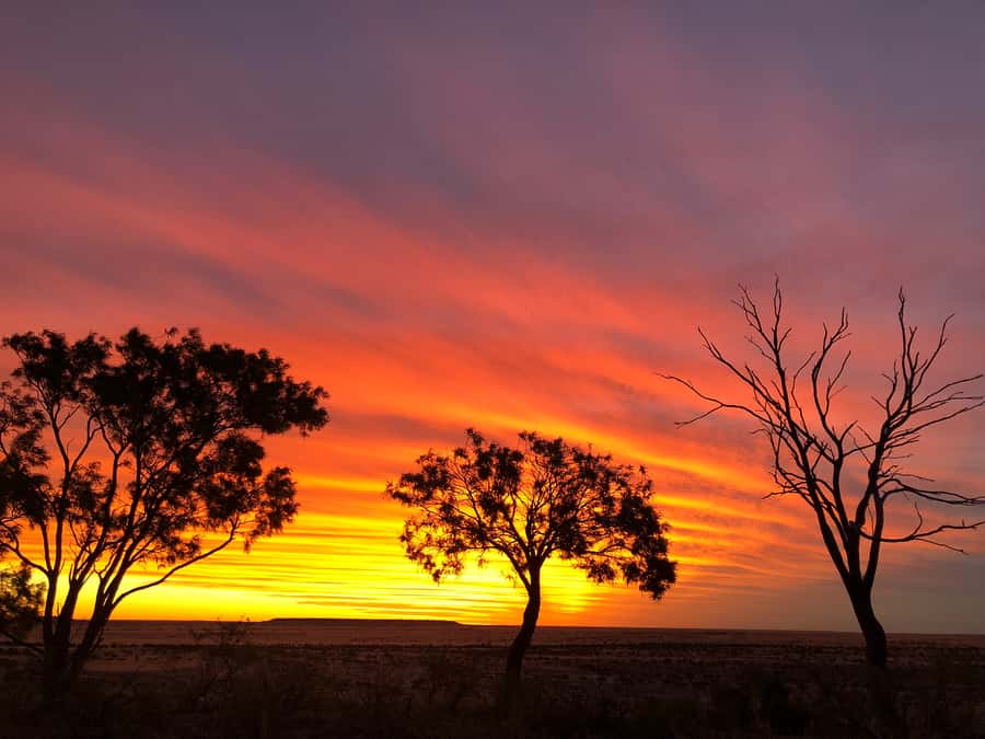 Winton: Rangelands Rifts & Sunset Tour - Key things I’d book this for