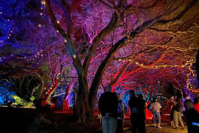 Wonderland by Night Norfolk Island - Key Highlights You’ll Actually Notice