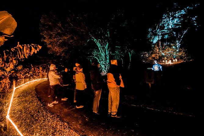 Wonderland by Night Norfolk Island - Walking the Norfolk Forest Under Thousands of Fairy Lights