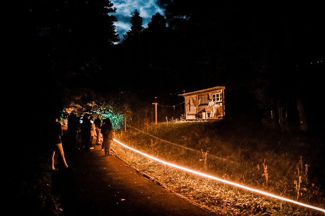 Wonderland by Night Norfolk Island - Who Should Book Wonderland by Night (and Who Might Skip)