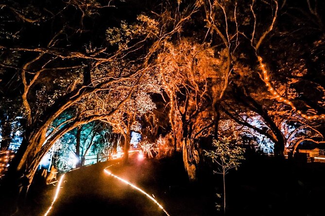 Wonderland by Night Norfolk Island - The Stories, Poetry, and Norf’k Language Moment