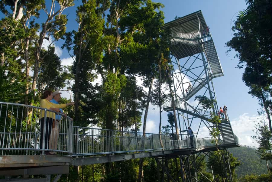 Wooroonooran National Park: Mamu Tropical Skywalk Admission - Key points you should know before you go
