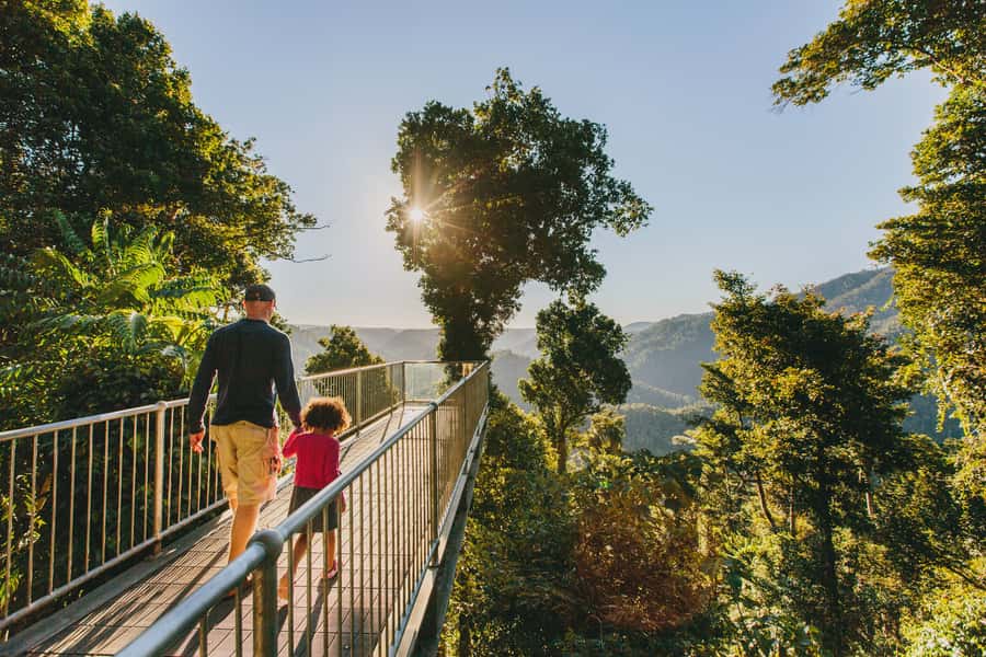 Wooroonooran National Park: Mamu Tropical Skywalk Admission - Why this skywalk feels special in Wooroonooran