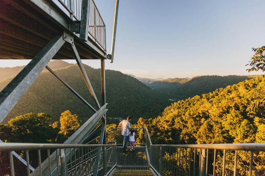 Wooroonooran National Park: Mamu Tropical Skywalk Admission - Forest Walk: ground-level rainforest with real comfort features