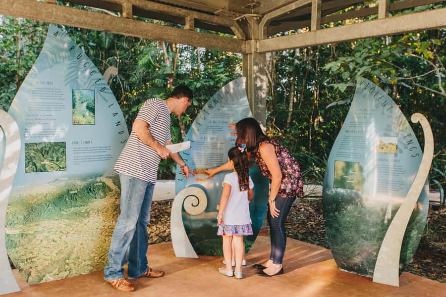 Wooroonooran National Park: Mamu Tropical Skywalk Admission - Timing: first entry 9:30am and last entry 3:30pm
