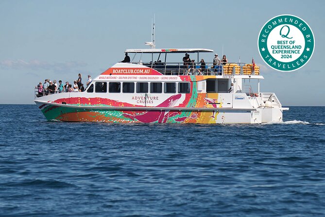 World class Whale Watching from Hervey Bay - Morning or afternoon: choosing the departure that fits you