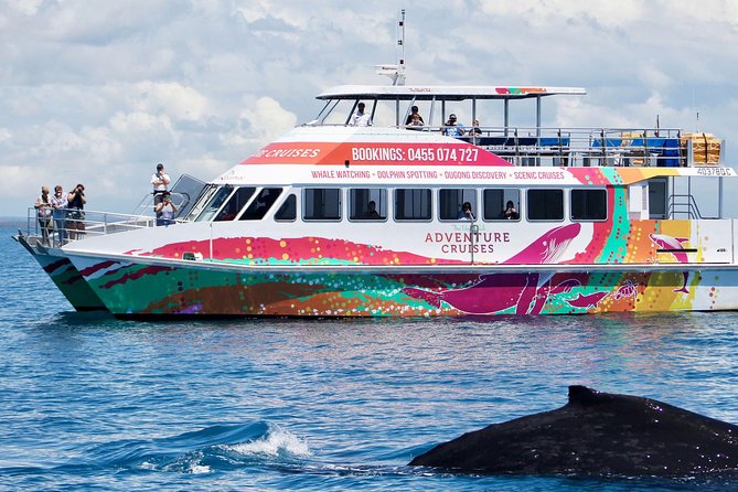 World class Whale Watching from Hervey Bay - Who should book this cruise (and who might plan around conditions)