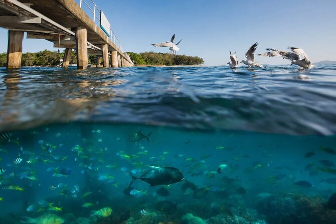 Wunyami Cultural Tour on Green Island's Eco Adventure - The 7-hour flow: how to plan your day without stress