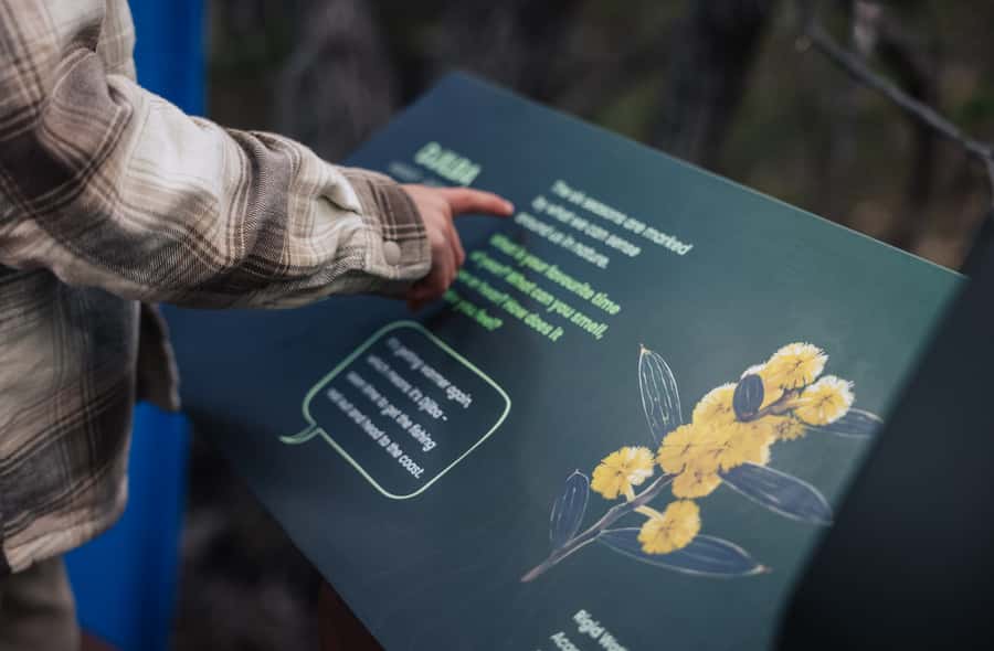 Yallingup: Ngilgi Cave Ancient Lands Experience - What You’ll See Above Ground: Native Bush + Interactive Story Stops
