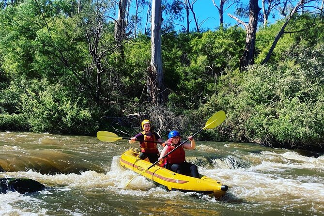 Yarra River Half-Day Rafting Experience - Dry bays and dry bags: small gear, big peace of mind