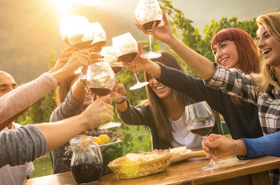 Yarra Valley: Bus Wine Tour with Lunch and a Glass of Wine - Price and value for $123: what you’re paying for in reality