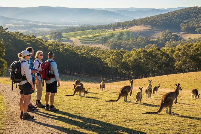 Yarra Valley by night! Private wine, whisky and dinner tour - Why this 4pm start feels made for real evenings out
