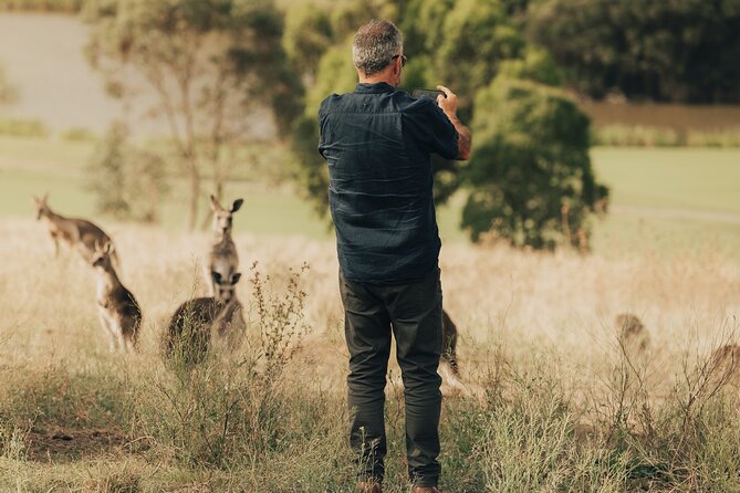 Yarra Valley by night! Private wine, whisky and dinner tour - What the tastings are really like (and how to pace yourself)