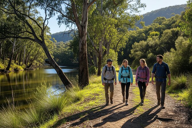 Yarra Valley by night! Private wine, whisky and dinner tour - Price and value: when $606.49 per person makes sense
