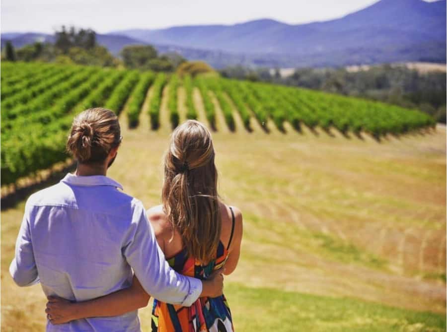 Yarra Valley Foodies Tour with Chandon and Kangaroo Safari! - Key points worth getting excited about