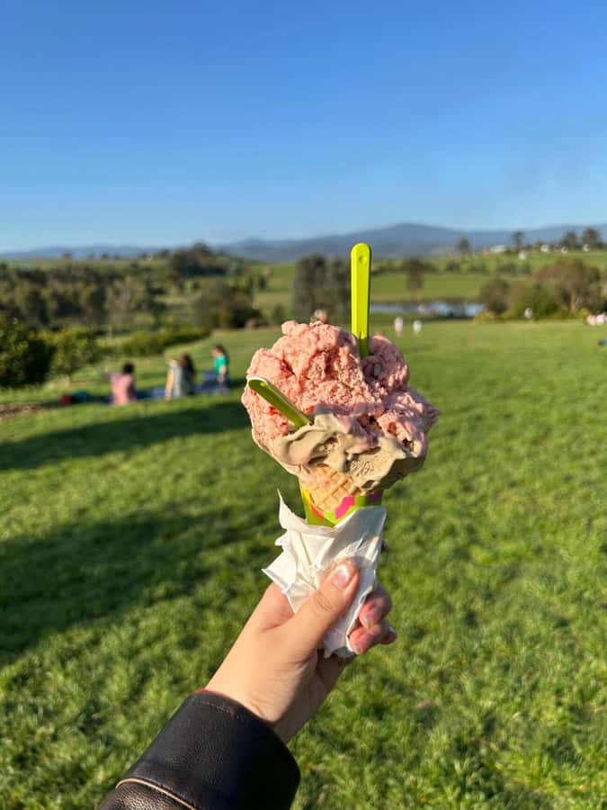 Yarra Valley Foodies Tour with Chandon and Kangaroo Safari! - Yering Station Winery: Cool-Climate Wines That Feel Grounded