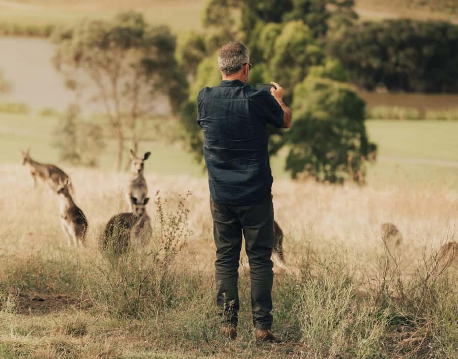 Yarra Valley Foodies Tour with Chandon and Kangaroo Safari! - Secret Stop at Sunset: Wild Kangaroos Where They Actually Live