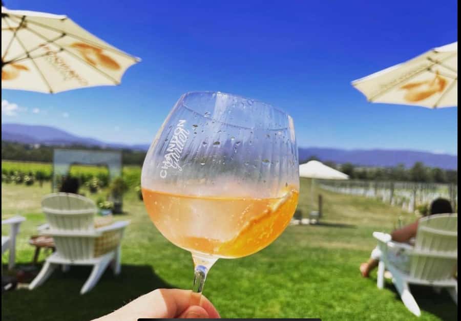 Yarra Valley Foodies Tour with Chandon and Kangaroo Safari! - Domaine Chandon: Sparkling Wine With a View and Lunch on Your Terms