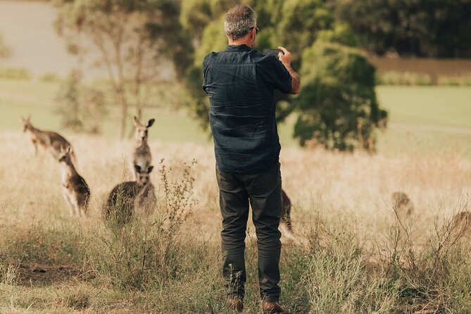 Yarra Valley Foodies Tour with Chandon & Kangaroo Safari! - Yarra Valley Dairy: Cheese Tastings That Actually Feel Generous