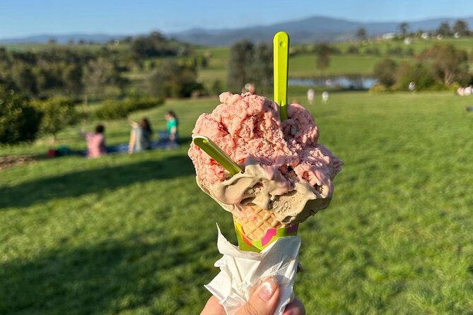 Yarra Valley Foodies Tour with Chandon & Kangaroo Safari! - Kangaroo Ground Safari: The Final Stretch and the Wildlife Payoff