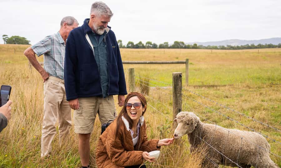Yarra Valley Full Day Grazing Tour: Gin, Wine, Pizza, Cheese - The price and value: what $133 buys you in a day