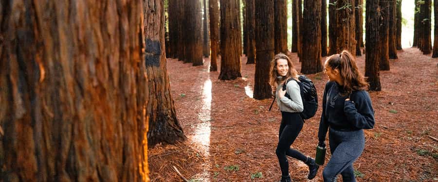 Yarra Valley | Redwoods, Wildlife, Wine, Chocolate - Yarra Valley Chocolaterie & Ice Creamery: The Sweet Start With Real Free Time