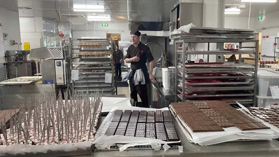 Yarra Valley | Redwoods, Wildlife, Wine, Chocolate - Practical Packing and Rules That Affect Your Comfort
