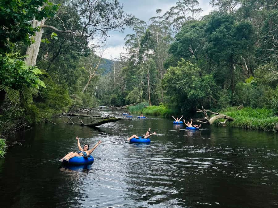Yarra Valley: Self-Guided River Tubing Adventure - Safety Briefing and Demo: How You Control a River Tube
