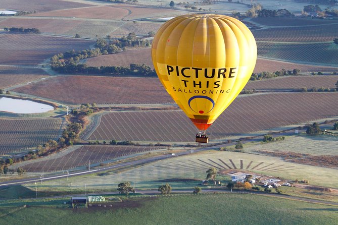 Yarra Valley sunrise balloon flight & champagne breakfast - Private Pick-Up from Melbourne: The Morning Saver