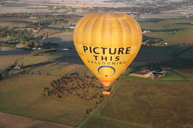 Yarra Valley sunrise balloon flight & champagne breakfast - Price and Value: Is $336.39 Worth It?