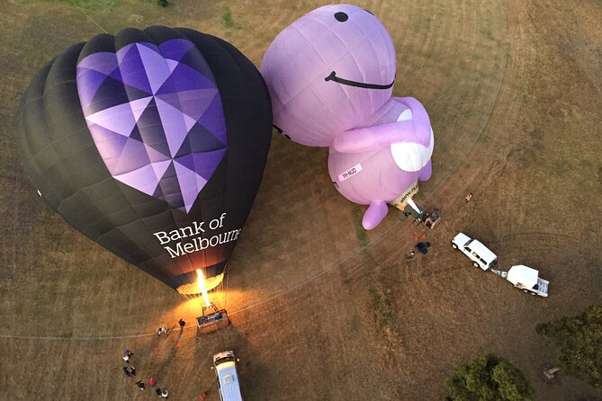 Yarra Valley sunrise balloon flight only - Kangaroos From the Basket: How to Handle the Chance