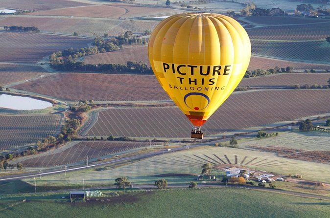 Yarra Valley sunrise balloon flight only - Price, Value, and Booking Timing in Plain English