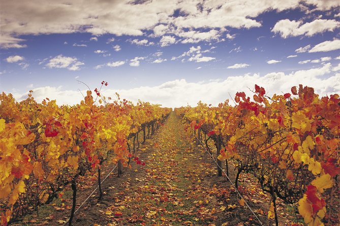 Yarra Valley Wildlife & Wine Day Tour with Healesville Sanctuary - Price and value: is $236.69 a fair deal?