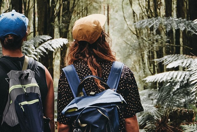 Yarra Valley Wildlife & Wine Day Tour with Healesville Sanctuary - Who this tour suits best (and who should reconsider)