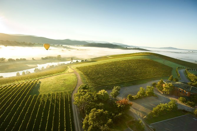 Yarra Valley Wine Day Tour - De Bortoli Winery: the big-acre opening tasting with dessert wine and cheese