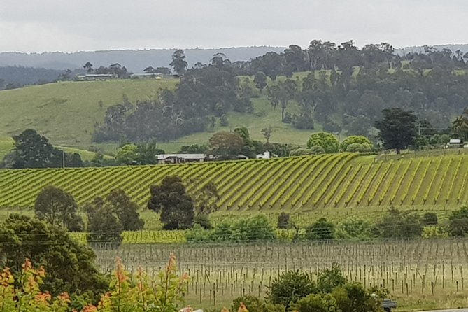 Yarra Valley Wine Tasting Day Tour from Melbourne - Key highlights worth planning for