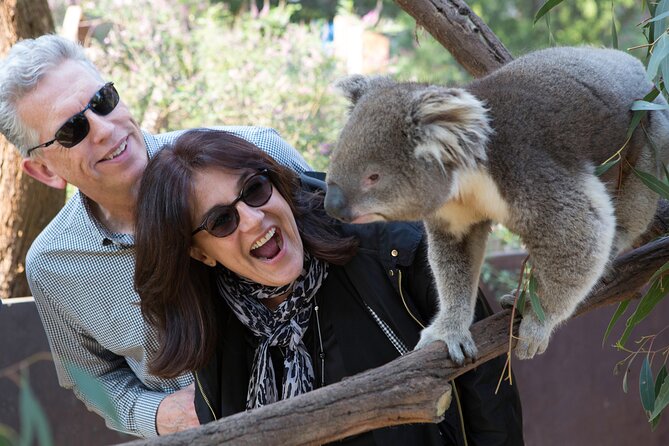 Yarra Valley Wine & Wildlife - Private Regional Tour - Private guide value: when flexibility matters more than “more stops”