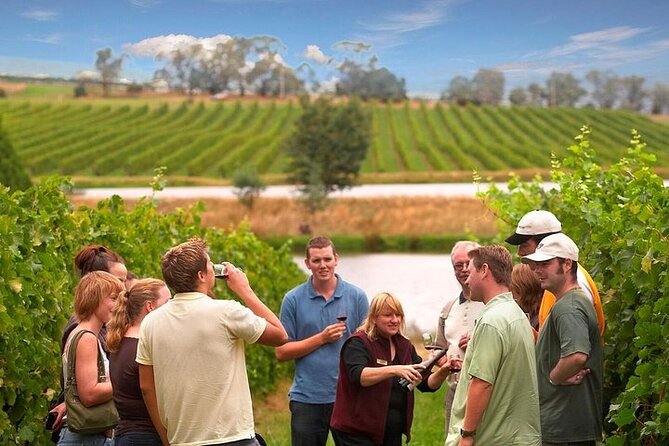 Yarra Valley Wine & Winery Tour from Melbourne - All Inclusive! - Key highlights that actually matter