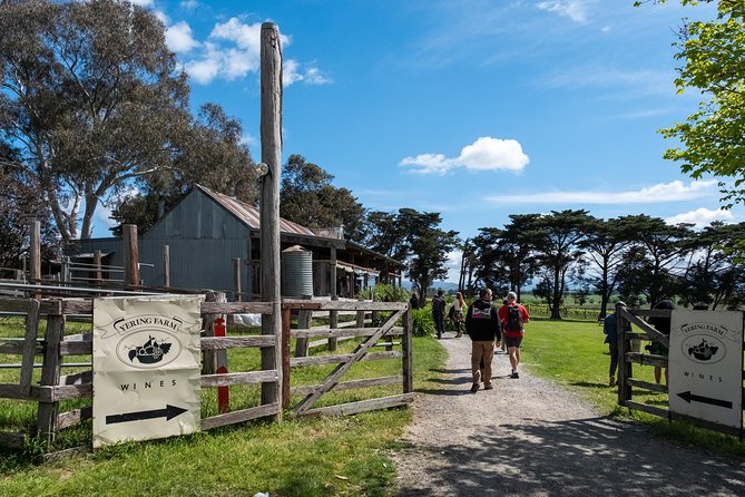 Yarra Valley Wine & Winery Tour from Melbourne - All Inclusive! - A Melbourne-to-Yarra Valley day that feels planned, not chaotic