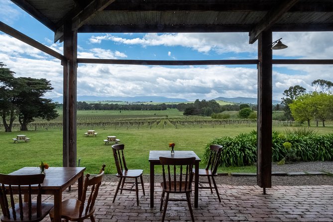 Yarra Valley Wine & Winery Tour from Melbourne - All Inclusive! - Balgownie Estate: tastings first, then lunch with vineyard views