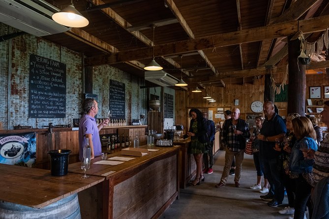 Yarra Valley Wine & Winery Tour from Melbourne - All Inclusive! - Greenstone Vineyards: Christmas Hills views and a smooth first tasting