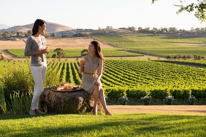 Yarra Valley Wineries Private Day Tour - Key highlights to know before you go