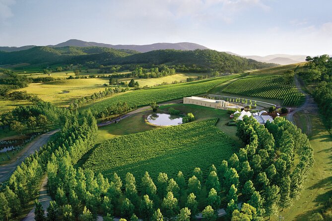 Yarra Valley Wineries Private Day Tour - Winemaker-style tastings at up to three boutique wineries