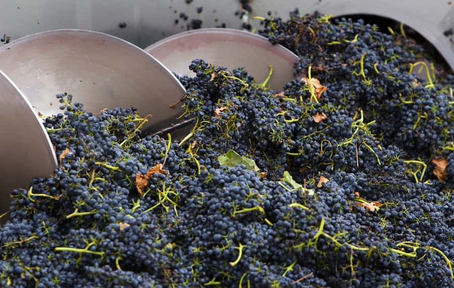 Yarra Valley: Winery Tour with Lunch at Yering Station - Why Yarra Valley makes sense for a one-day wine mission