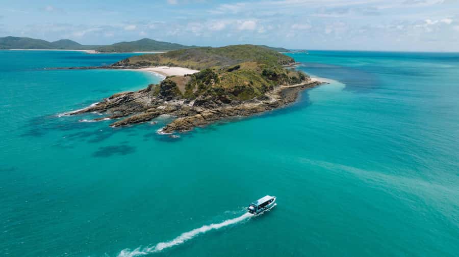 Yeppoon: Great Keppel Island Fast Boat Snorkel & Lunch Tour - Keppel Islands cruise: what you’ll be watching from the water