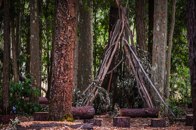 Zipline over the Heysen Trail & Through the Pines of Kuitpo - Who should book: height, fitness, and “can I do this?”